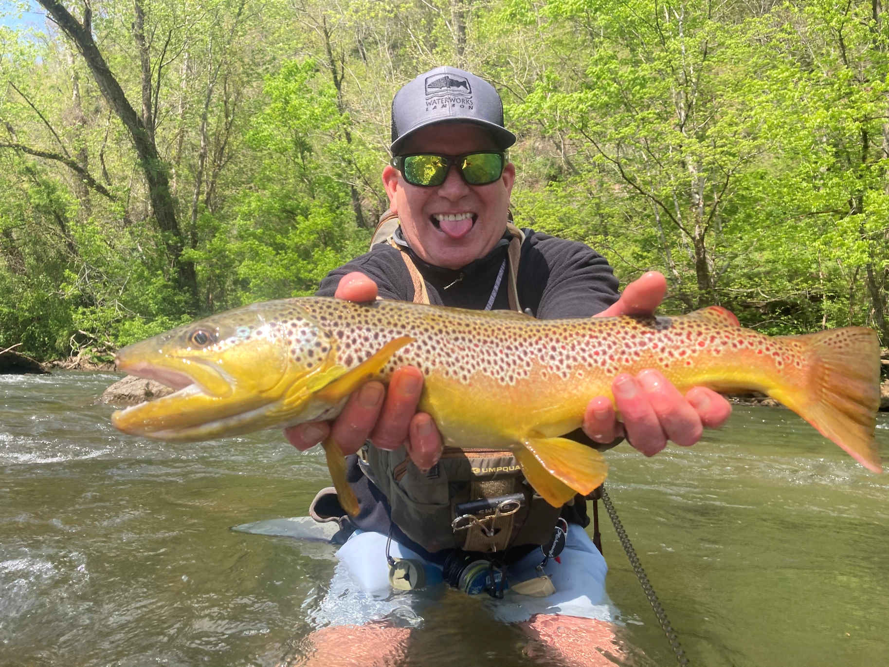 Watauga River Fly Fishing Spotted Trout